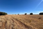 Parcel·la urbanitzable en venda a la Carretera de Infantes, Valdepeñas, ref.: TR353316 foto