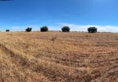 Parcel·la urbanitzable en venda a la Carretera de Infantes, Valdepeñas, ref.: TR353316 foto