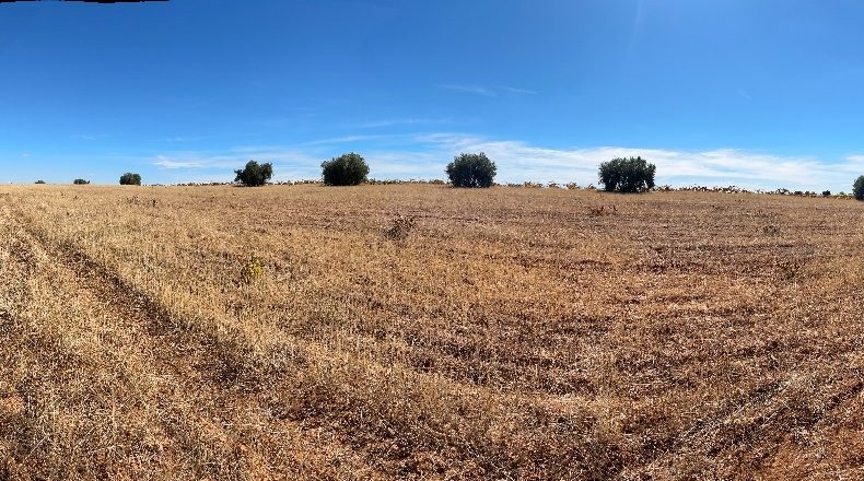 Ciudad Real - Valdepeñas - 16867m2
