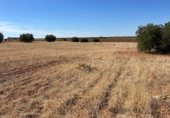 Parcel·la urbanitzable en venda a la Carretera de Infantes, Valdepeñas, ref.: TR353316 foto