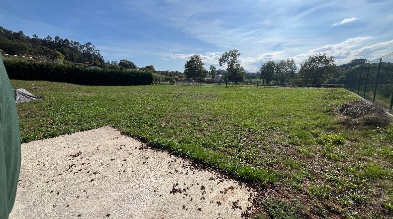 Asturias - Tamargo - 1400m2