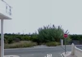 Terreno no urbanizable en venta en la Avenida Blasco Ibáñez, Piles, ref: TR349143 foto