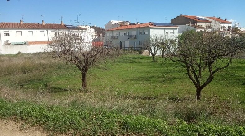 Valencia - Iàtova - 529m2
