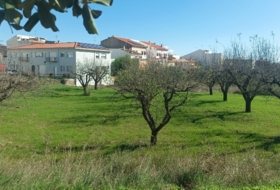Iàtova 529&nbsp;m² 