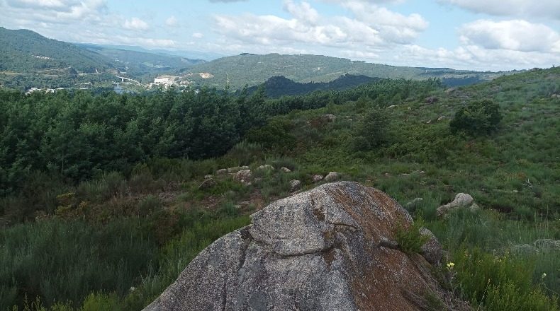 Orense - Vilar de Gomareite - 40000m2