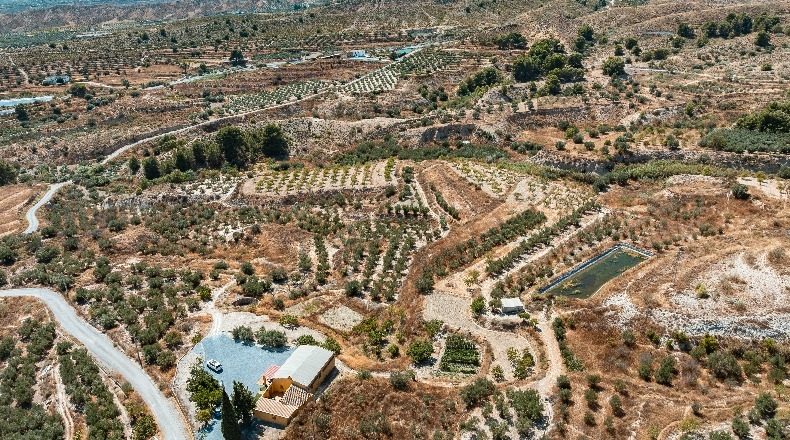Almería - Somontín - 47000m2