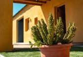 Casa de camp amb terreny en venda a la Los Barrancones, Somontín, ref.: TR355157 foto