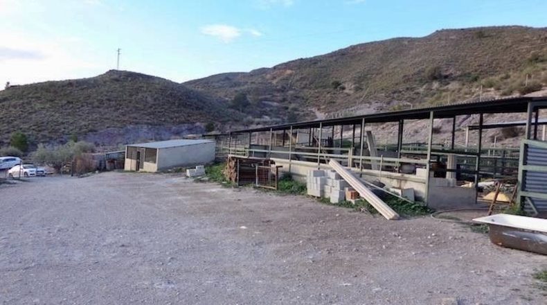 Almería - Cantoria - 110000m2