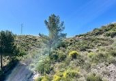 Casa de camp amb terreny en venda a la El Fas, Cantoria, ref.: TR355174 foto