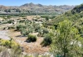 Casa de camp amb terreny en venda a la El Fas, Cantoria, ref.: TR355174 foto