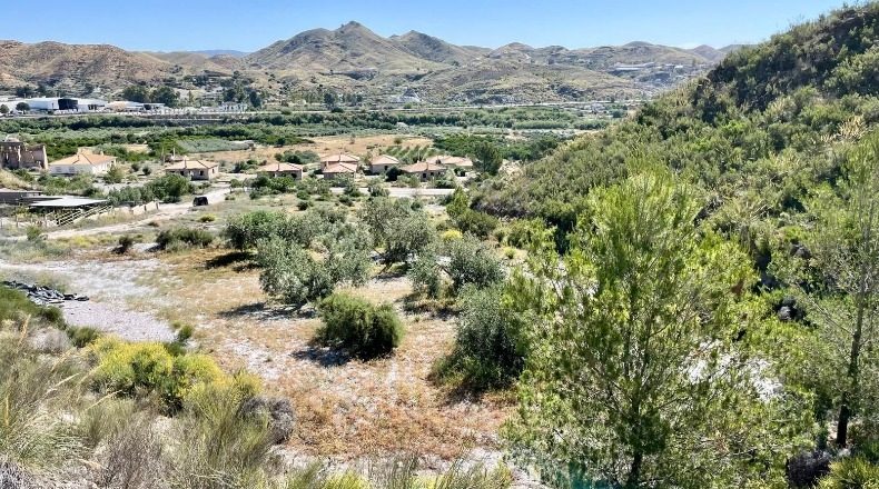 Almería - Cantoria - 110000m2
