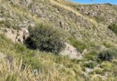 Casa de camp amb terreny en venda a la El Fas, Cantoria, ref.: TR355174 foto