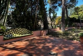 Foto 17