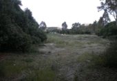 Parcel·la urbanitzable en venda a la URBANIZACION CALARREONA, Àguiles, ref.: TR355435 foto