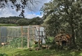 Foto 14