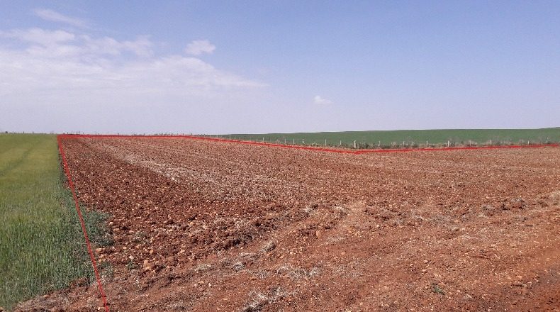 Саламанка - Carrascal de Barregas - 120000m2