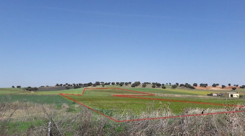 Саламанка - Carrascal de Barregas - 120000m2