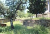Finca rústica en venda a la FINCA EL PORTILLO, Cerro Muriano, ref.: TR356316 foto