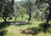 Finca rústica en venda a la FINCA EL PORTILLO, Cerro Muriano, ref.: TR356316 foto