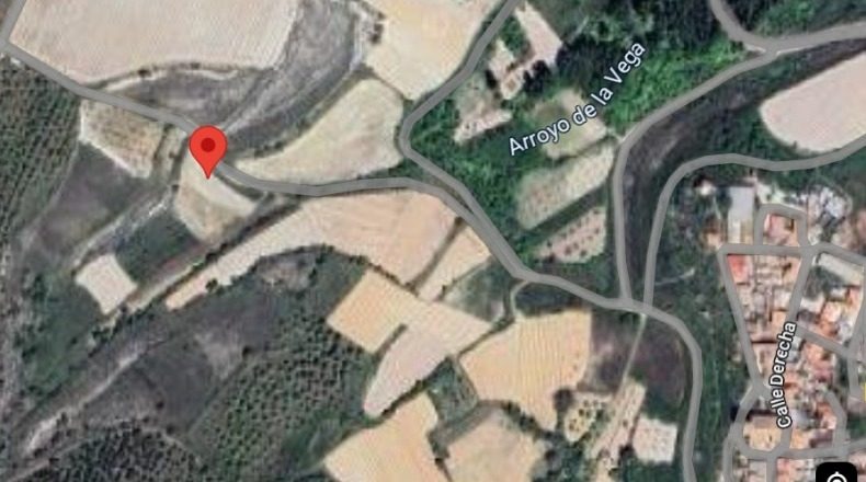 Valladolid - Canalejas de Peñafiel - 1200m2