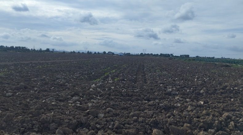 Múrcia - Cartagena - 33540m2