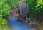 Non-developable land for sale on Ceal, ref: TR356900 photo