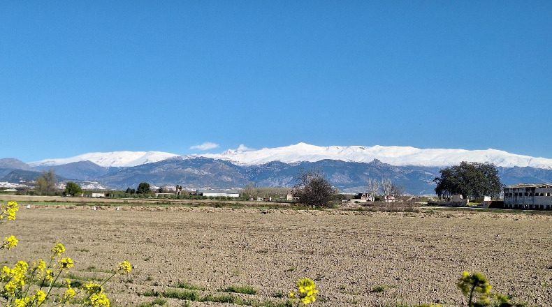 Granada - Santa Fe - 488m2