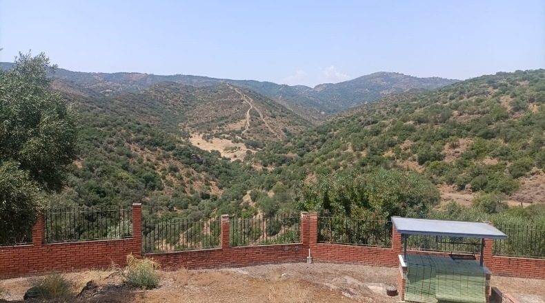 Córdoba - Córdoba - 702780m2