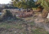 Edificio en obra en venta en la Huerta los palos, El Pelayo, ref: TR357711 foto