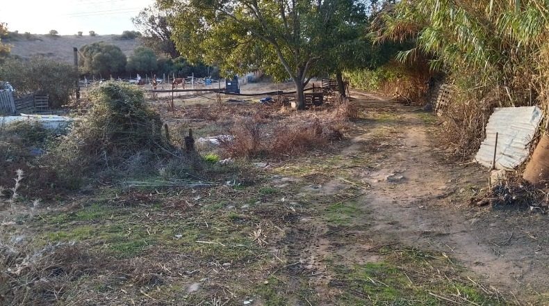 Cádiz - El Pelayo - 70000m2