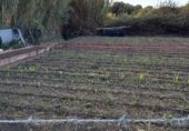 Edificio en obra en venta en la Huerta los palos, El Pelayo, ref: TR357711 foto