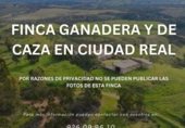 Non-developable land for sale on 37, Corral de Calatrava, ref: TR357712 photo
