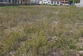 Lamas 2375&nbsp;m² 