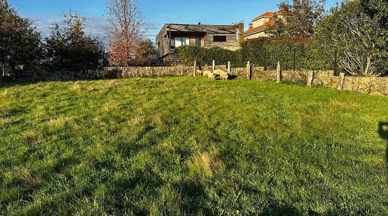 Pontevedra - Vilanova - 1550m2