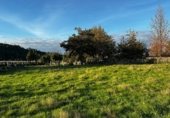 Suelo urbano en venta en la Vilanova de Tenorio, Vilanova, ref: TR357985 foto