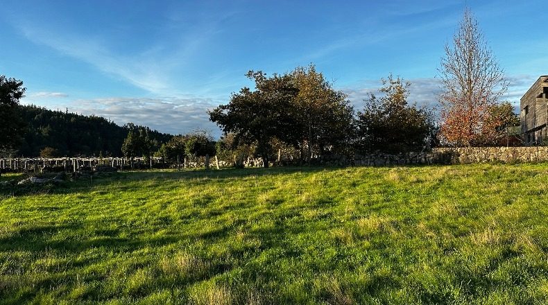 Pontevedra - Vilanova - 1550m2