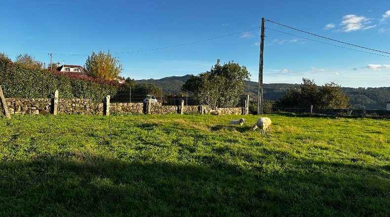 Pontevedra - Vilanova - 1550m2