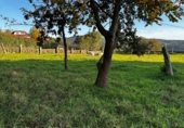 Suelo urbano en venta en la Vilanova de Tenorio, Vilanova, ref: TR357985 foto