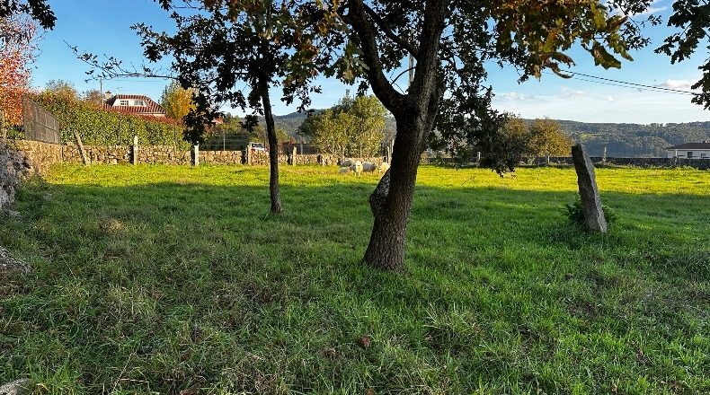 Pontevedra - Vilanova - 1550m2