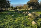 Suelo urbano en venta en la Vilanova de Tenorio, Vilanova, ref: TR357985 foto
