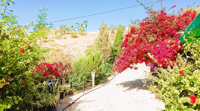 Orense - Campanillas - 3176m2