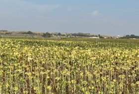 Villoruela 34000&nbsp;m² 