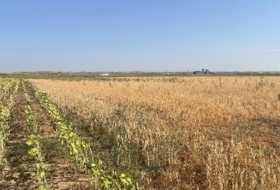Villoruela 34000&nbsp;m² 
