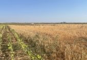 Non-developable land for sale on Acceso a Villoruela desde SA-810, Villoruela, ref: TR358908 photo