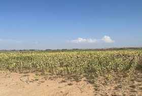 Villoruela 34000&nbsp;m² 