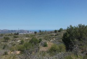 Polop 10000&nbsp;m² 