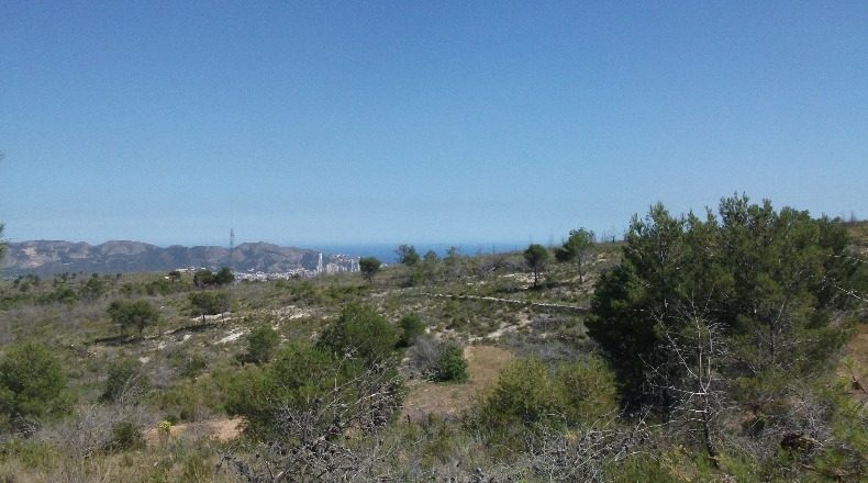 Alicante - Polop - 10000m2