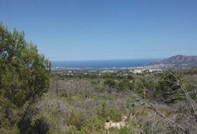Polop 10000&nbsp;m² 