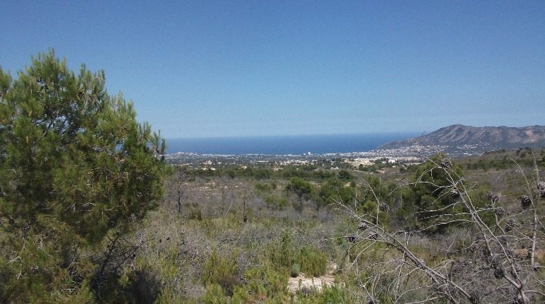Alicante - Polop - 10000m2