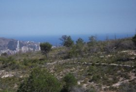 Polop 10000&nbsp;m² 